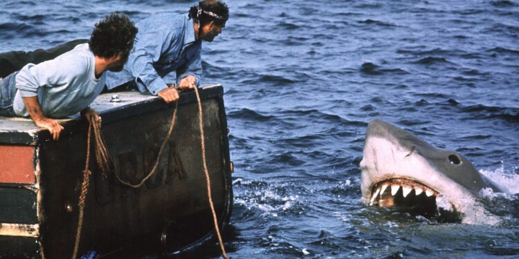 Para ver este fin de semana: «Tiburón (Jaws 1975): El clásico de terror que sigue mordiendo en la memoria del cine»